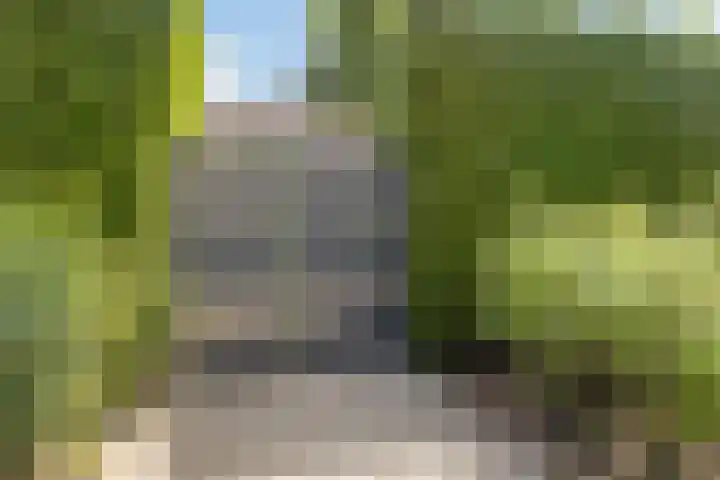 de Loo 120 Mierlo thumbnail 41