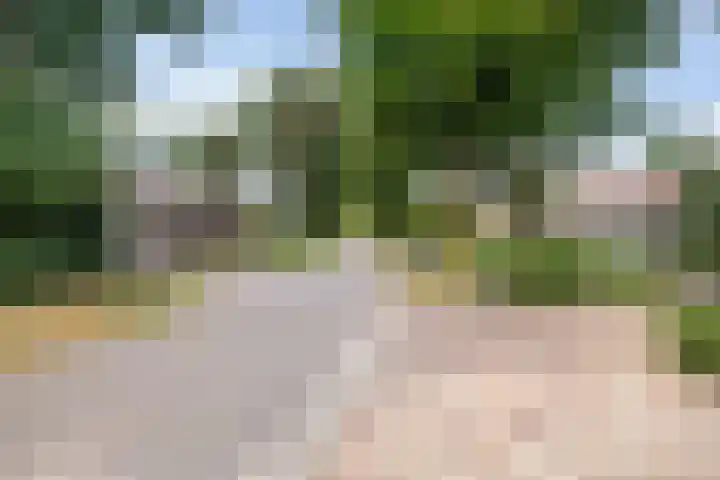 de Loo 120 Mierlo thumbnail 42