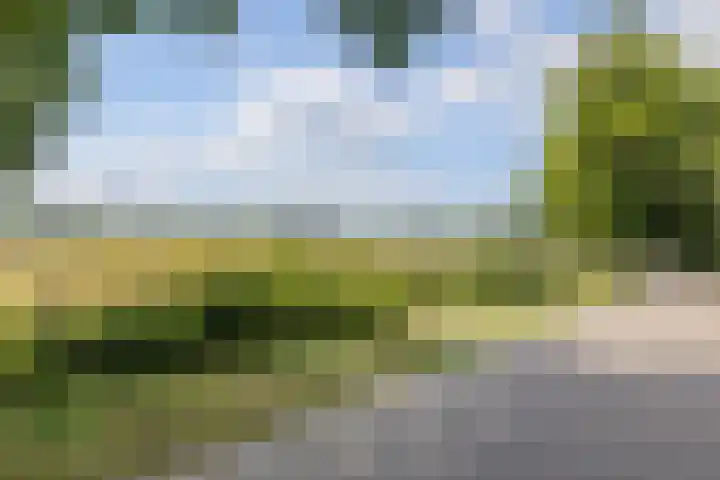 de Loo 120 Mierlo thumbnail 43