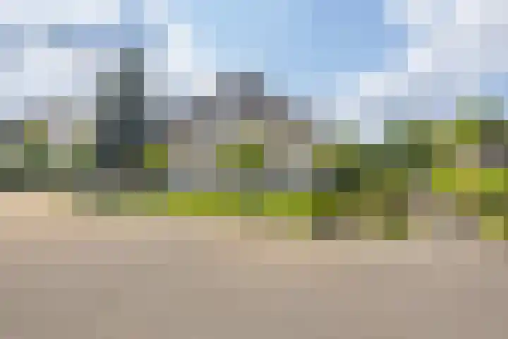 de Loo 120 Mierlo thumbnail 5