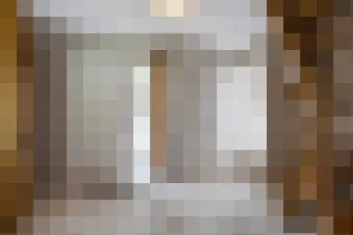 de Loo 120 Mierlo thumbnail 6