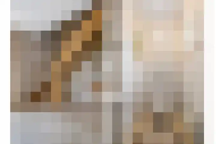 de Loo 120 Mierlo thumbnail 7