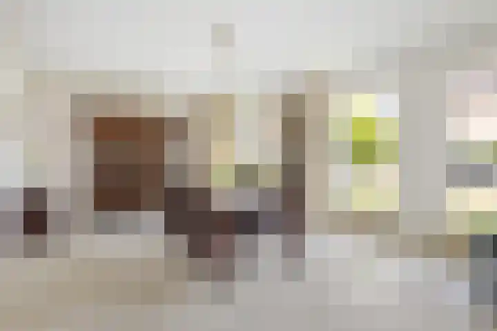 de Loo 120 Mierlo thumbnail 8