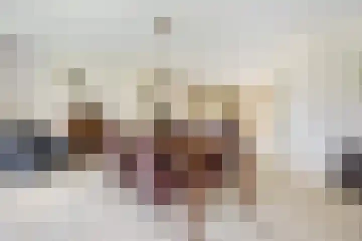 de Loo 120 Mierlo thumbnail 9