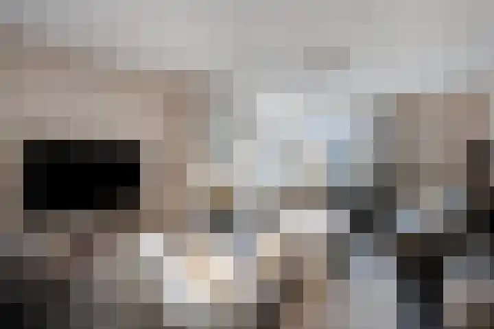 de Loo 47 Mierlo thumbnail 11