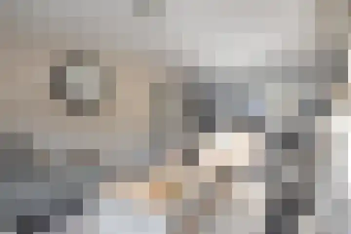 de Loo 47 Mierlo thumbnail 12