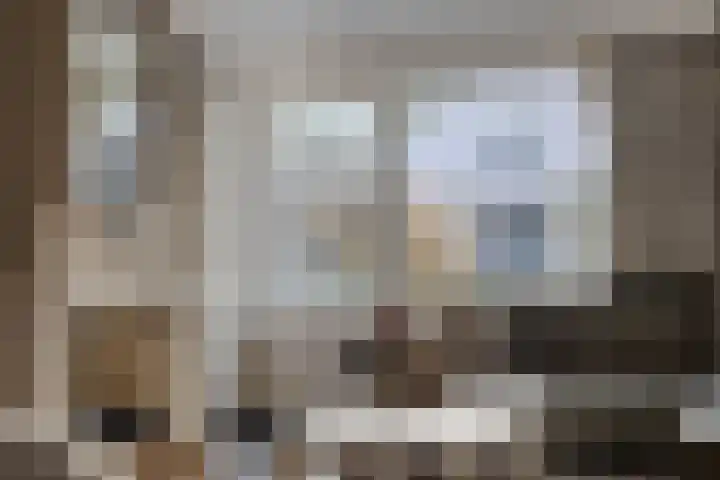de Loo 47 Mierlo thumbnail 13