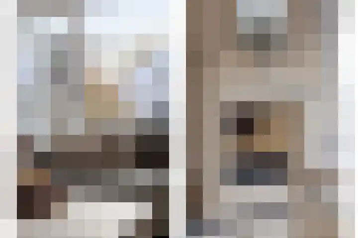 de Loo 47 Mierlo thumbnail 14
