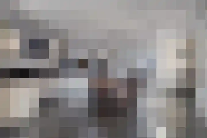 de Loo 47 Mierlo thumbnail 15