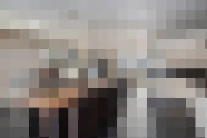 de Loo 47 Mierlo thumbnail 17