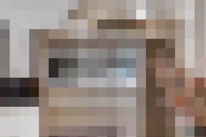 de Loo 47 Mierlo thumbnail 19