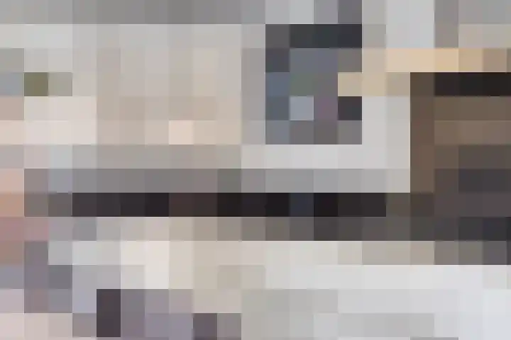 de Loo 47 Mierlo thumbnail 20