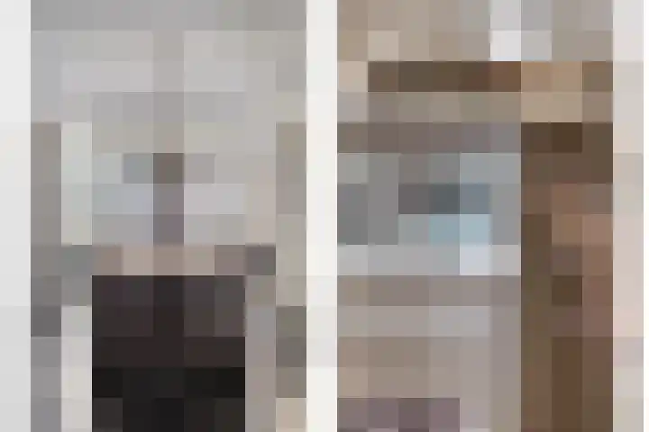 de Loo 47 Mierlo thumbnail 21