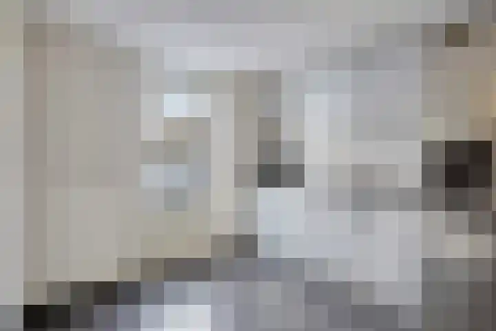 de Loo 47 Mierlo thumbnail 22