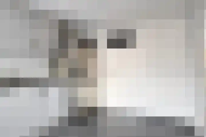 de Loo 47 Mierlo thumbnail 23