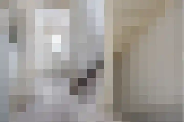 de Loo 47 Mierlo thumbnail 26