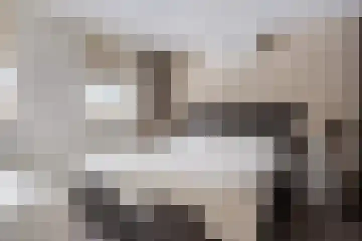 de Loo 47 Mierlo thumbnail 27