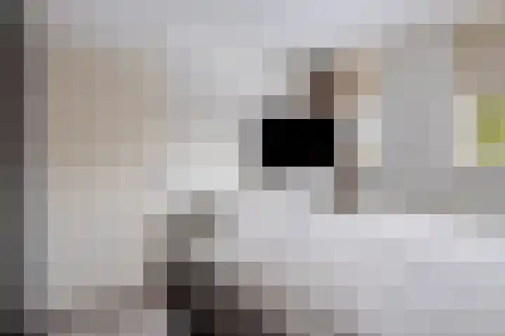 de Loo 47 Mierlo thumbnail 28