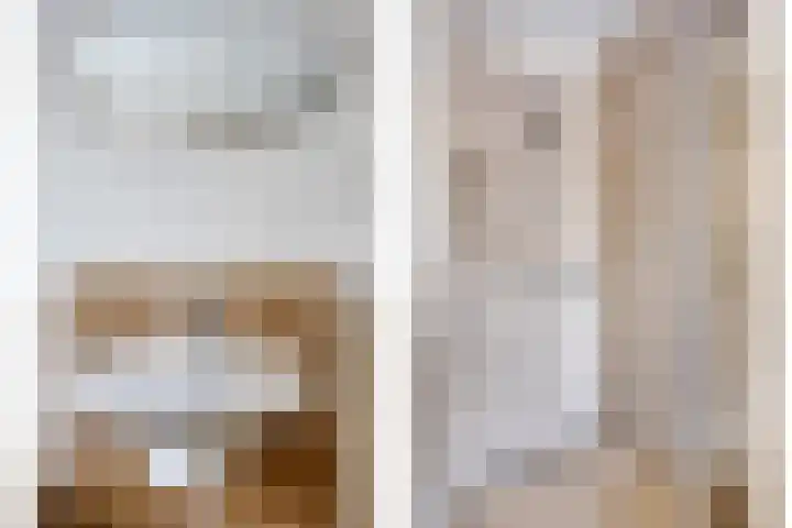 de Loo 47 Mierlo thumbnail 31