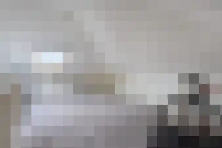 de Loo 47 Mierlo thumbnail 32