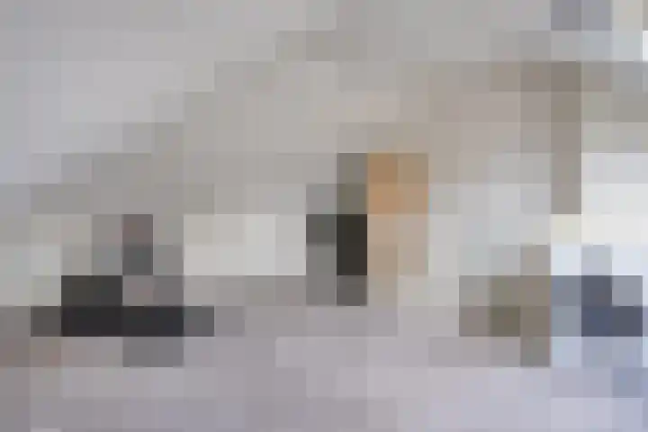 de Loo 47 Mierlo thumbnail 34