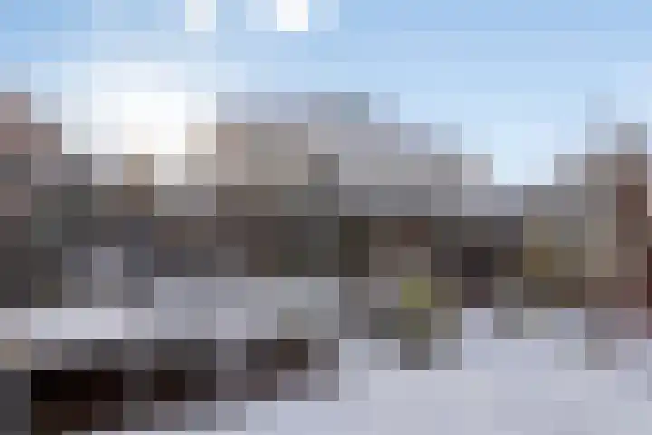 de Loo 47 Mierlo thumbnail 35