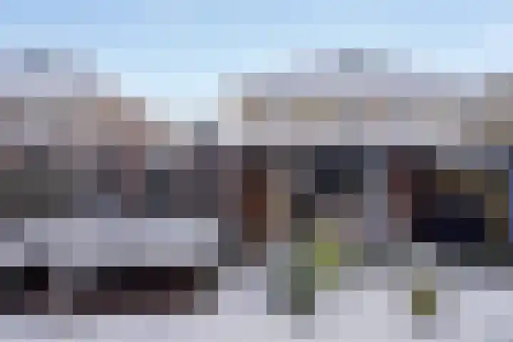 de Loo 47 Mierlo thumbnail 36