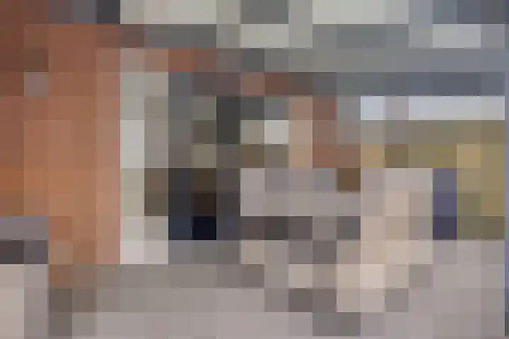 de Loo 47 Mierlo thumbnail 37