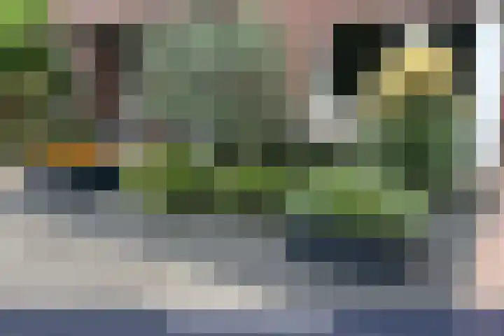 de Loo 47 Mierlo thumbnail 38