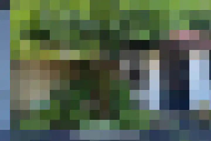 de Loo 47 Mierlo thumbnail 39