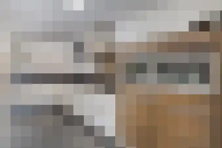 de Loo 47 Mierlo thumbnail 4