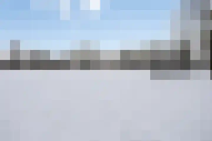de Loo 47 Mierlo thumbnail 43