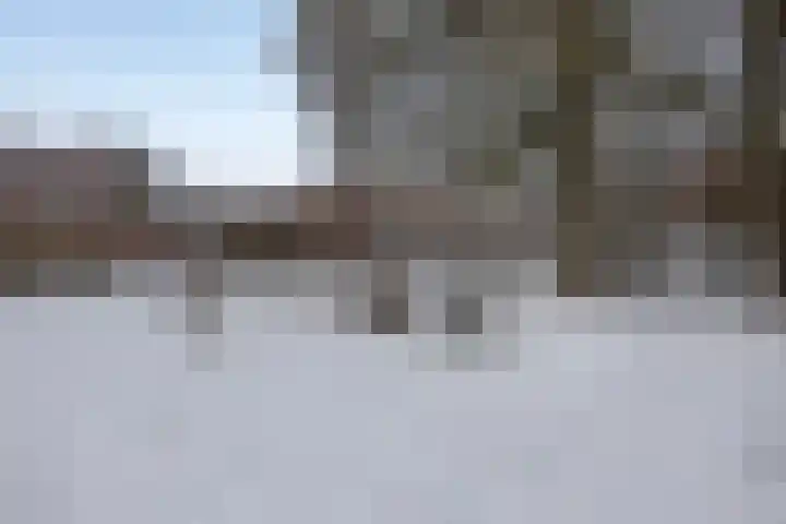 de Loo 47 Mierlo thumbnail 44