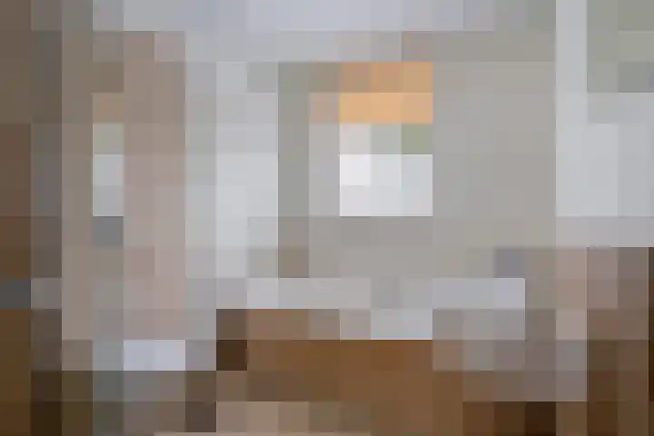 de Loo 47 Mierlo thumbnail 5