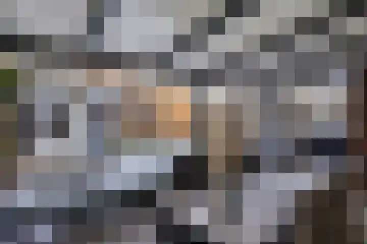 de Loo 47 Mierlo thumbnail 6