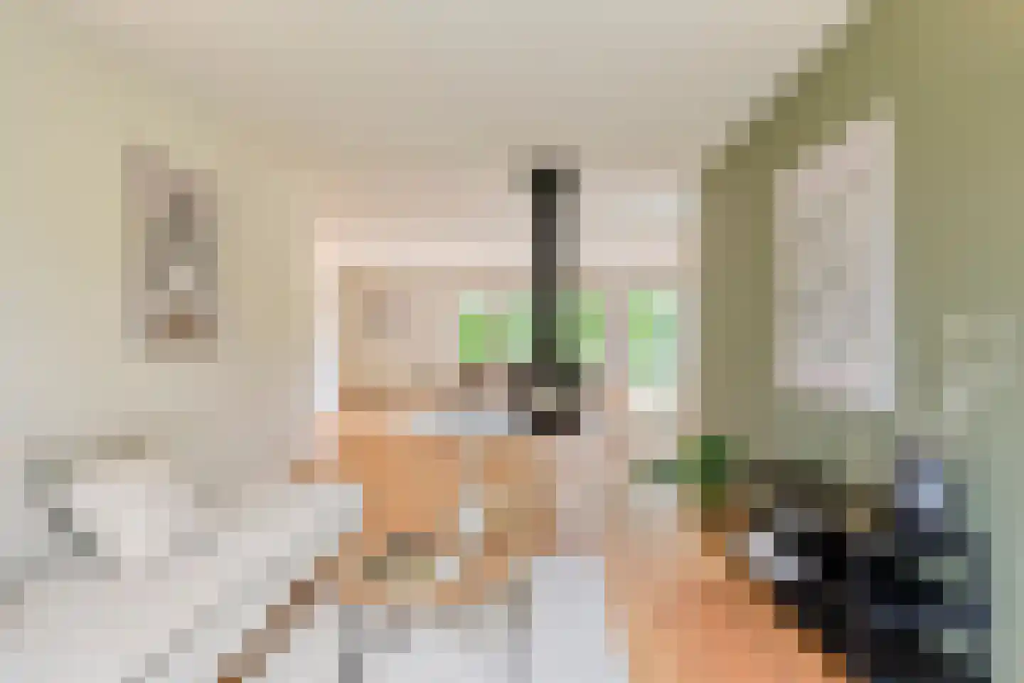 de Loo 94 Mierlo thumbnail 12