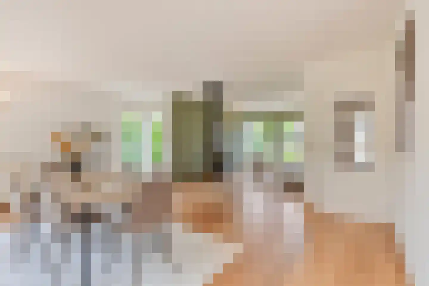 de Loo 94 Mierlo thumbnail 13