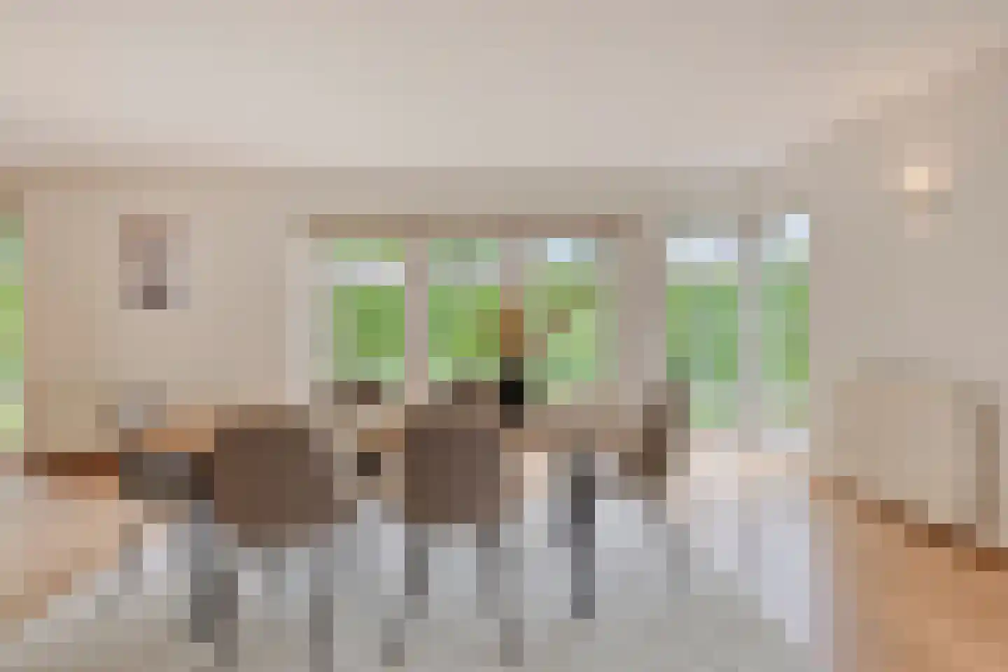 de Loo 94 Mierlo thumbnail 15