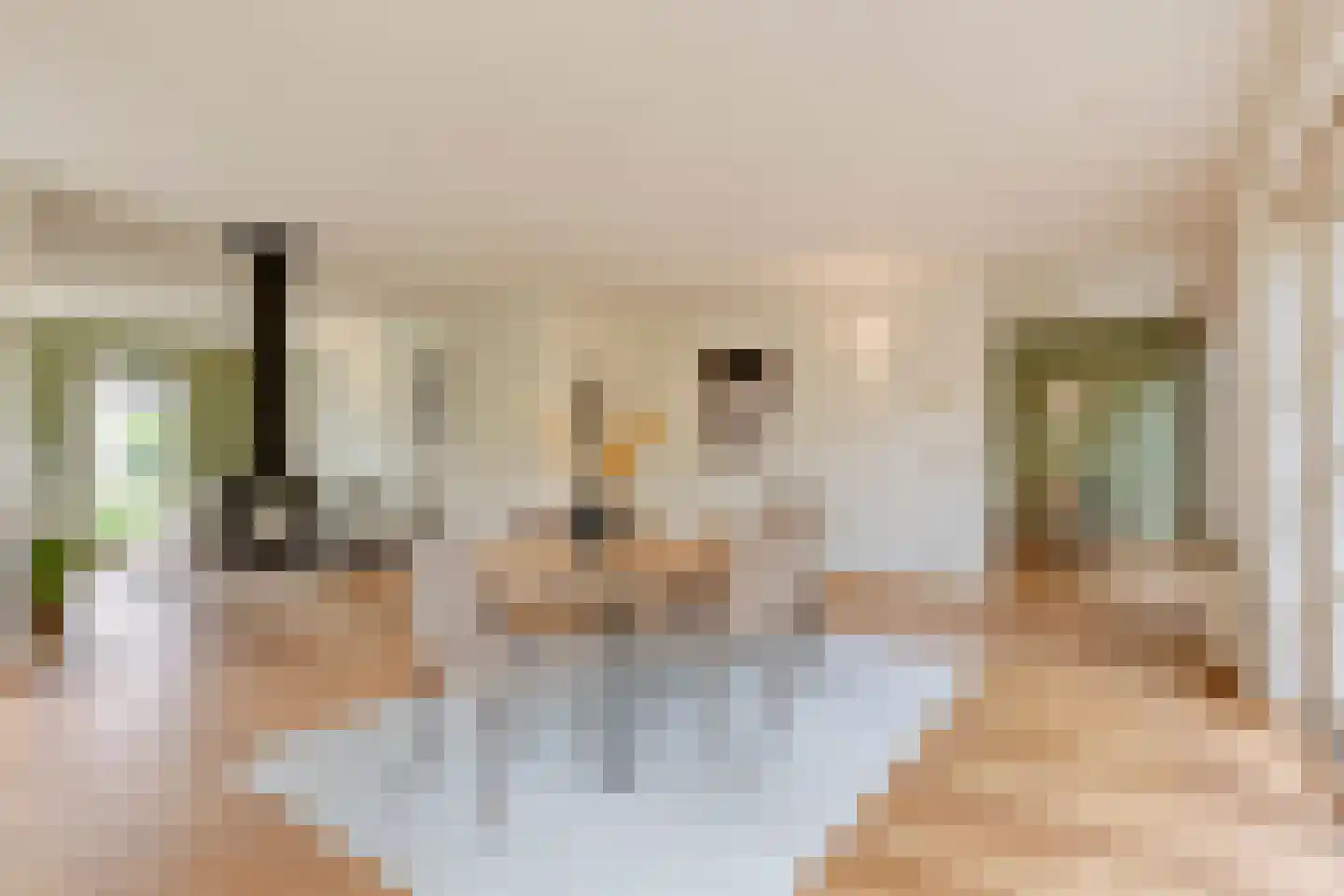 de Loo 94 Mierlo thumbnail 16