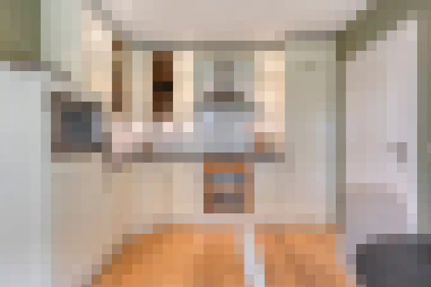 de Loo 94 Mierlo thumbnail 18