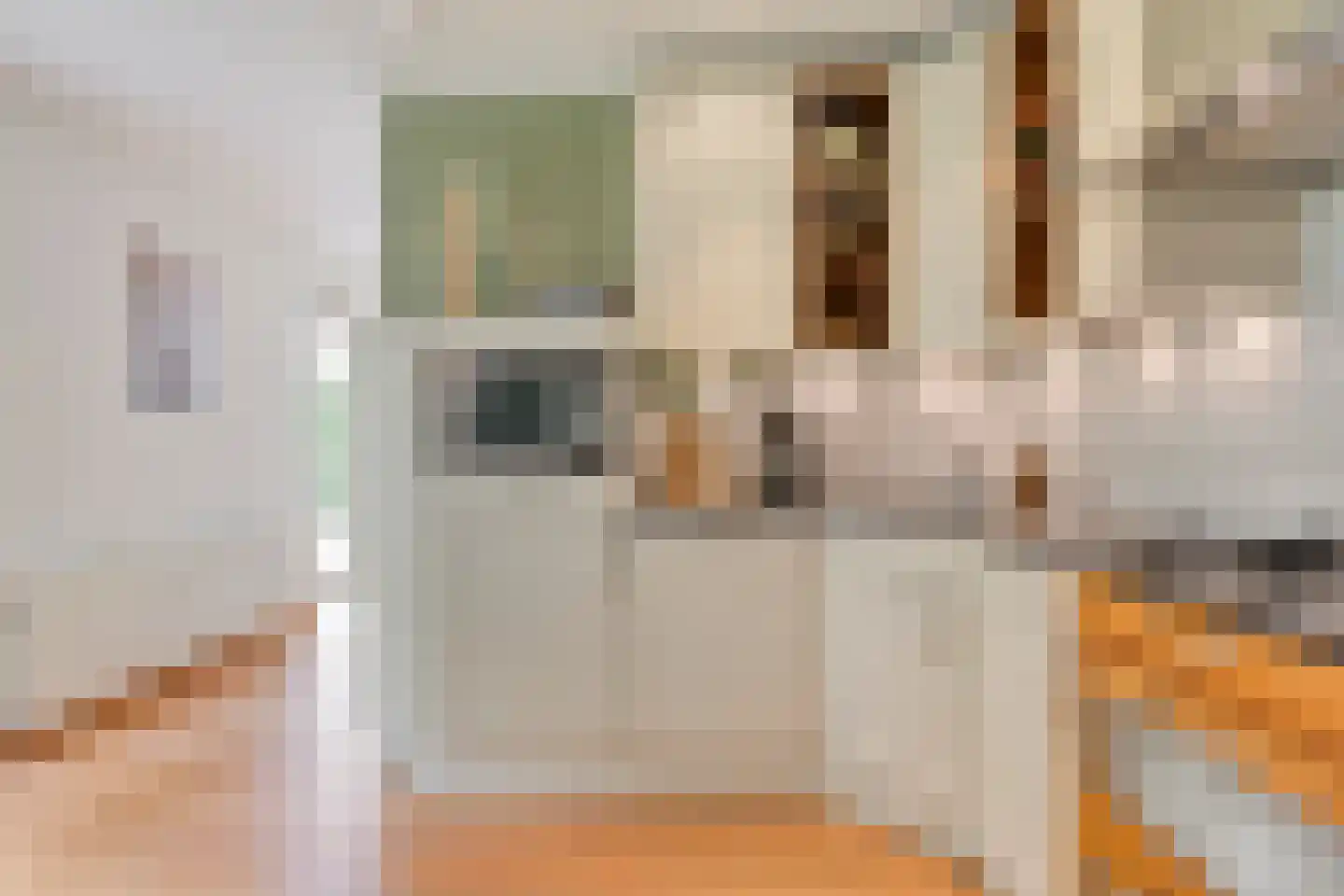 de Loo 94 Mierlo thumbnail 19
