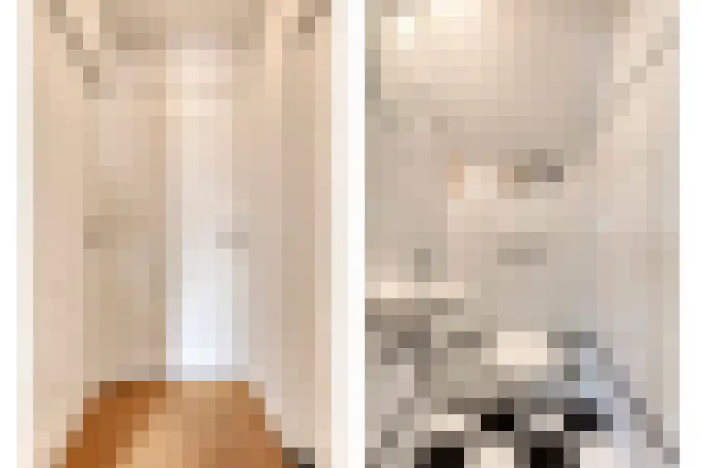 de Loo 94 Mierlo thumbnail 25