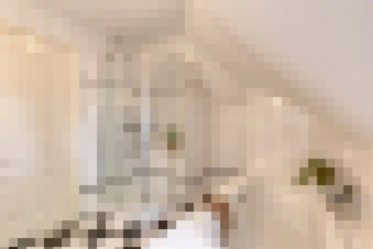 de Loo 94 Mierlo thumbnail 31
