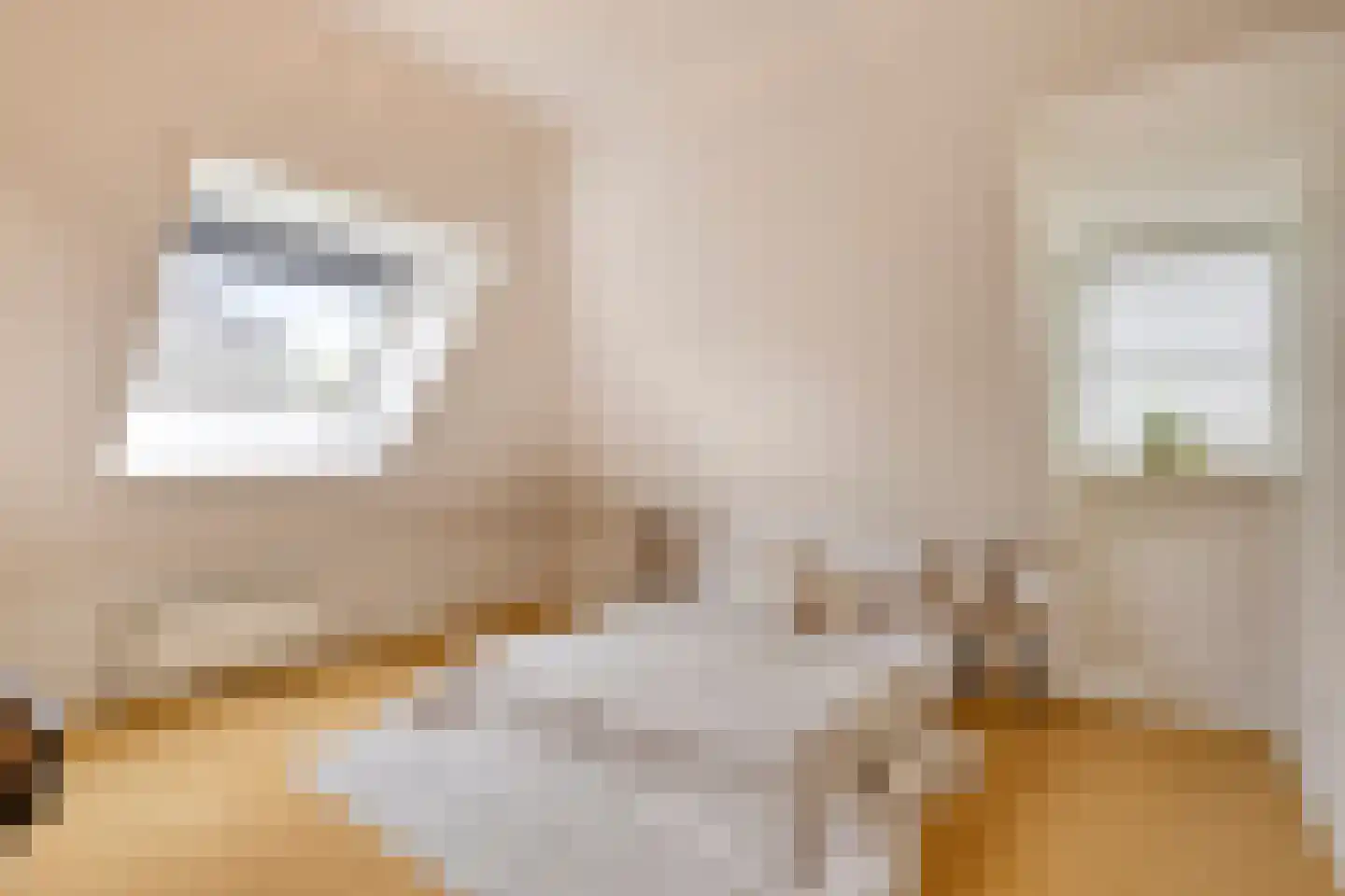 de Loo 94 Mierlo thumbnail 37