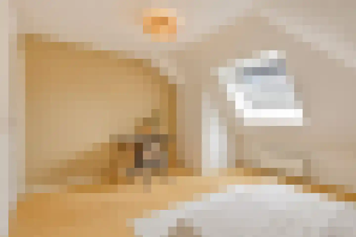 de Loo 94 Mierlo thumbnail 39