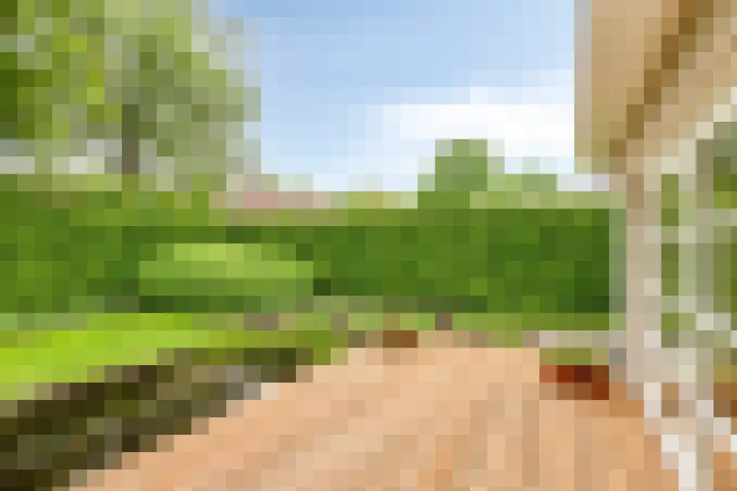 de Loo 94 Mierlo thumbnail 41