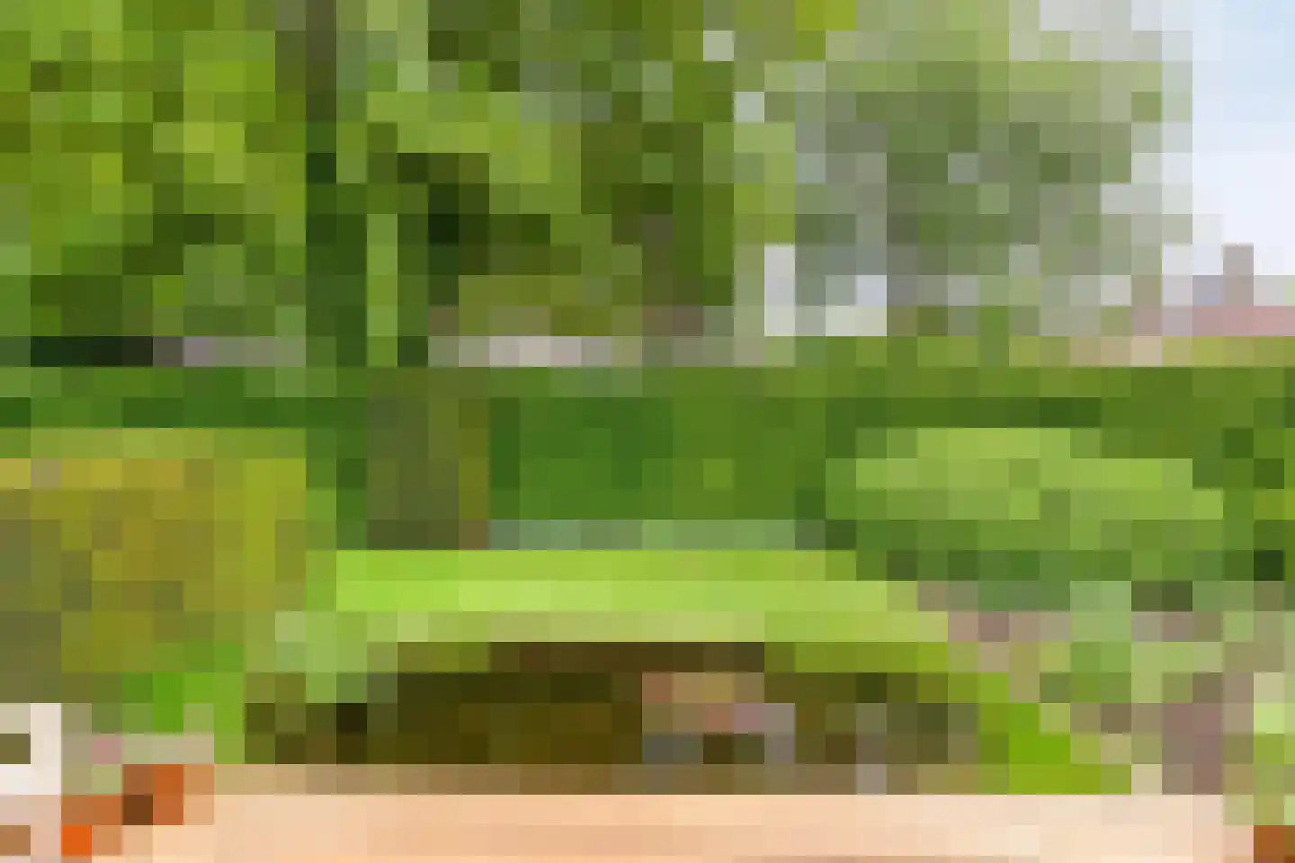 de Loo 94 Mierlo thumbnail 42
