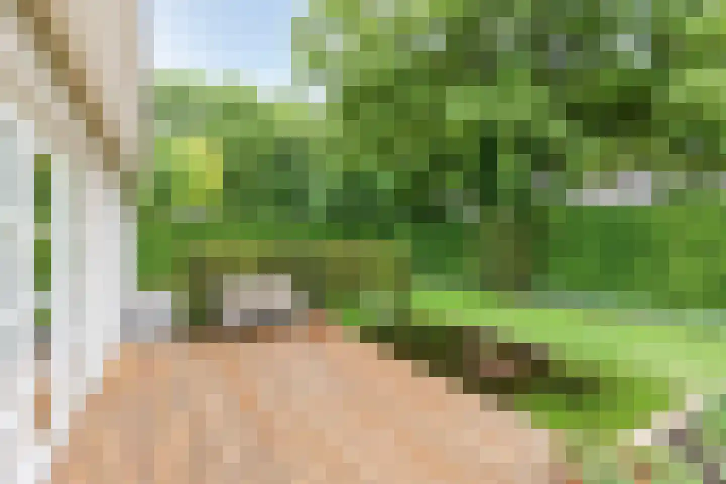 de Loo 94 Mierlo thumbnail 43