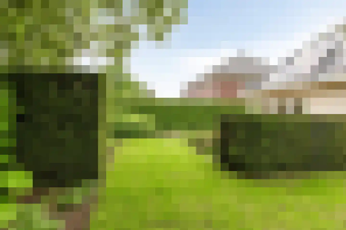 de Loo 94 Mierlo thumbnail 44