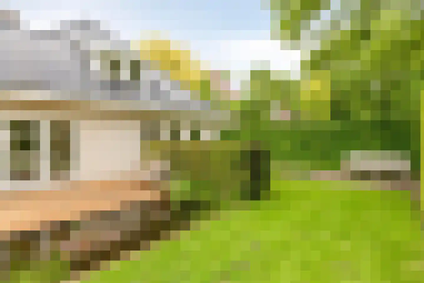 de Loo 94 Mierlo thumbnail 45